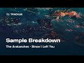 Capture de la vidéo Sample Breakdown: The Avalanches - Since I Left You