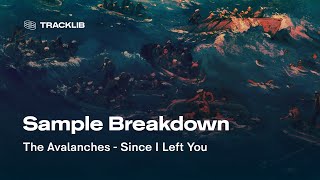 Sample Breakdown: The Avalanches - Since I Left You