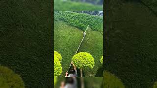 The Great Gardener Mowing The Weeds#Viral #Satisfying #Creative #Respect