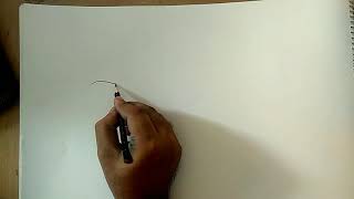how to draw millipede diagram