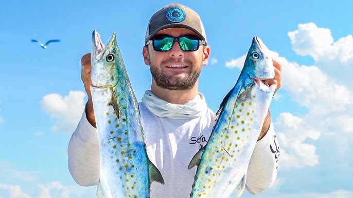 Spanish Mackerel Fishing in Tampa Bay, Tackle Recommendations and