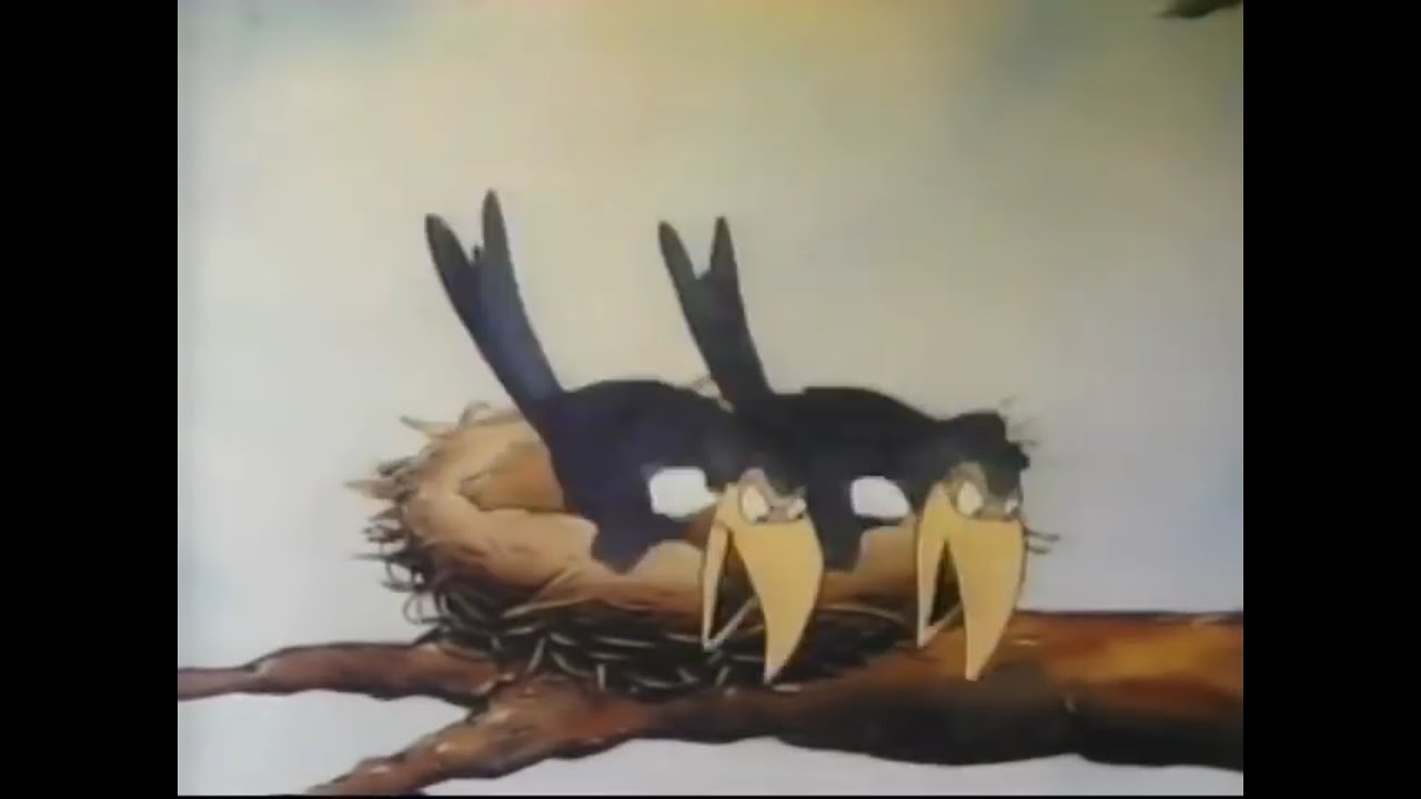 Clásicos de la diversión Las urracas