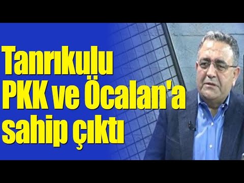 CHP'li Sezgin Tanrıkulu PKK ve Öcalan'a sahip çıktı
