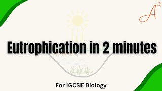 Eutrophication in 2 minutes || IGCSE Biology