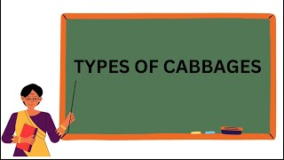 Different Types of Cabbages Names |  Fun and Educational Video