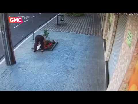 Comerciante se queixa de roubo de flores do seu jardim