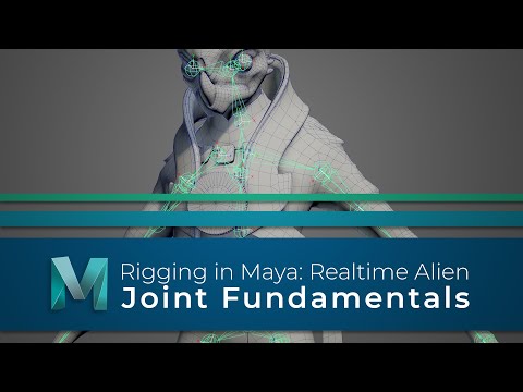 #RiggingInMaya | Part 02 | Joint Fundamentals