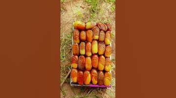 نورن على نور سورة النور