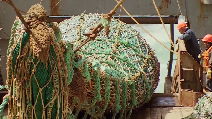 Sustainable Sushi