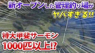 激ヤバな管理釣り場が新オープンしたので公開します【八丁堀・エリアトラウト・オーナー対談】／HartDesign(ハートデザイン)【Vol.404】