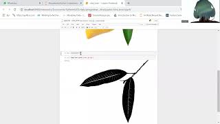 Segmentasi Citra menggunakan Python