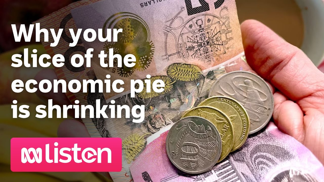 Why your slice of the economic pie is shrinking | ABC News Daily Podcast