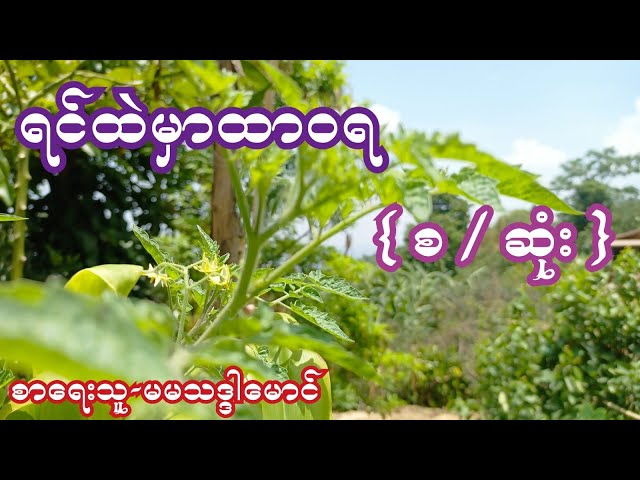 ရင်ထဲမှာထာဝရ { စ / ဆုံး } စာရေးသူ-မမသဒ္ဒါမောင် class=