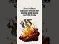 The Soy Sauce Science Nobody Believes | FoodBlobs