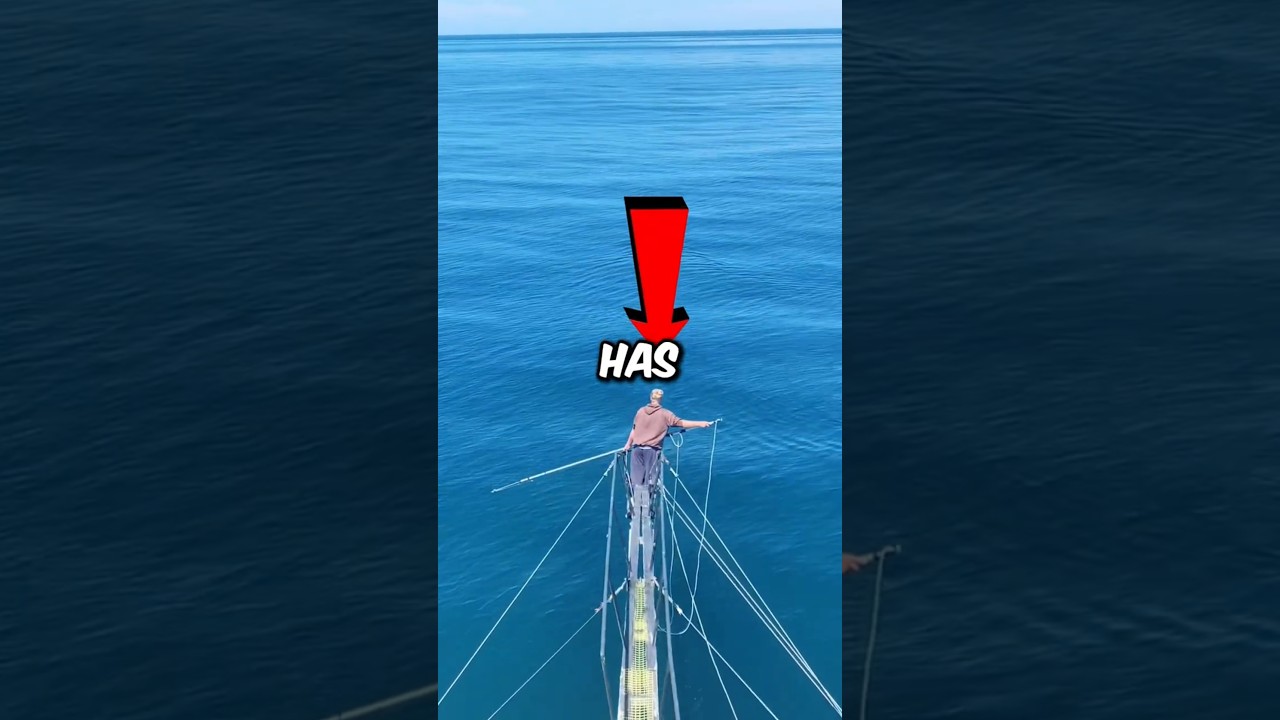 How They Catch Swordfish!