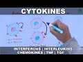 Cytokines  classification and functions