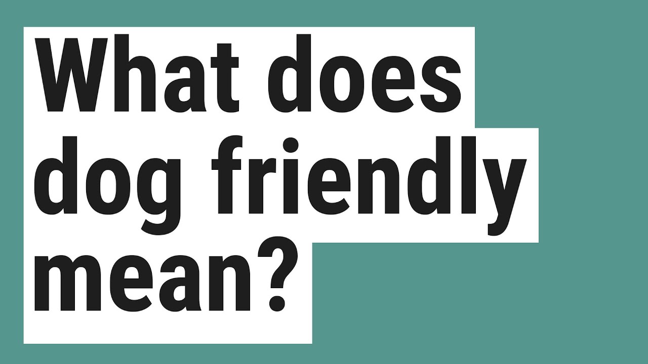 What does dog friendly mean? YouTube