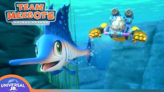 Speedster of the Sea & Other Adventures | TEAM MEKBOTS ANIMAL RESCUE