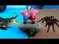 PEPPA PIG GEORGE E A ARANHA E JACARÉ GIGANTE PEPPA PIG 2016 PORTUGUES