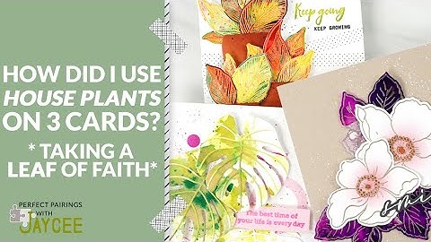 3 Easy Card Techniques using House Plants | Perfect Pairings with Jaycee