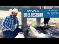 INCREIBLE, UN OASIS EN EL DESIERTO, LA ALMOLOYA RIO GRANDE ZACATECAS