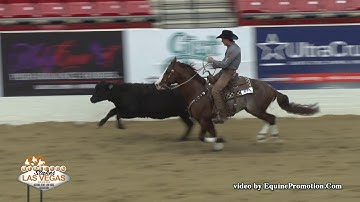 Brother Jackson ridden by Zane P. Davis  - 2019 NRCHA Stallion Stakes (Cow Work, Open Bridle Spec.)