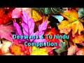 Deewana  tu hindu  compilation by nisa azeezi live