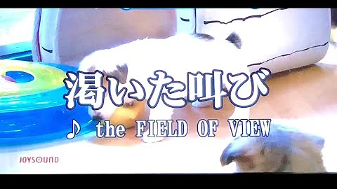 渇いた叫び カラオケ