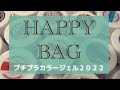 【訳あり】プチプラ2022年HAPPY BAG開封レポ