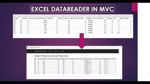 Excel Data Reader in MVC asp.NET [Source Code] 2021