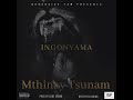 Mthinay tsunam  ingonyama