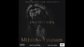 Mthinay Tsunam _ Ingonyama