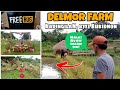 Travel Vlog: DELMOR FARM, Tag-iya MISALOM sa Fishpond | Kadingilan, Bukidnon Tourist Destination