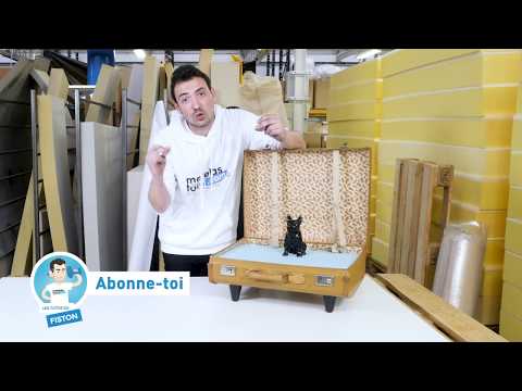 Vidéo: Comment faire un lit de chien de valise