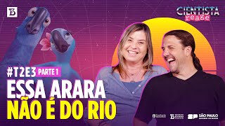 RIO | Cientista Reage | T2E3