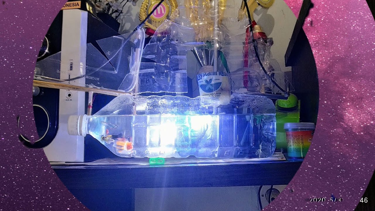Aquarium Unik dari barang bekas || botol bekas - YouTube