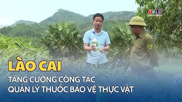 Tăng cường công tác quản lý thuốc bảo vệ thực vật trên địa bàn tỉnh Lào Cai | THLC