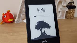 Kindle Lost or forgot passcode + How To Setup and Set Pin