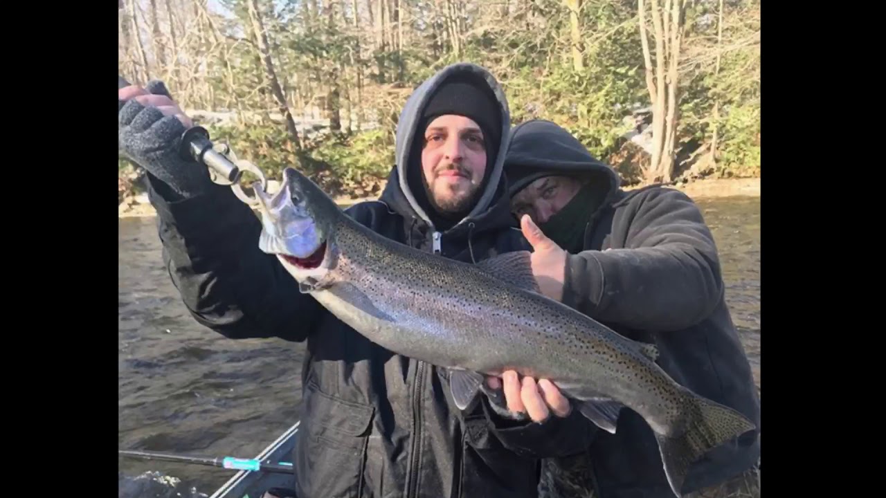 Steelhead fishing Pulaski NY salmon river YouTube
