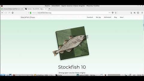 Installing Arena Chess GUI and Stockfish 10 engine in Linux