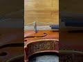 Cuerda violín Warchal Amber 701B 1ª Mi Bola Medium 4/4 video