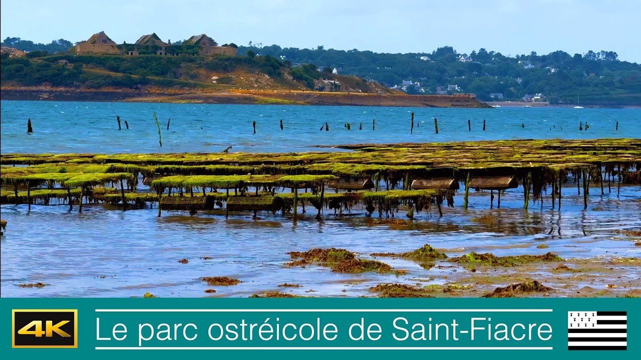 Austern-Farm von St.-Fiacre, Crozon, Bretagne, Teil 4