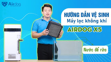 Hướng dẫn vệ sinh máy lọc không khí Airdog X5 | Làm sạch bộ lọc đúng cách & Hiệu quả nhất