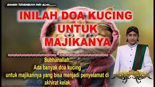 DOA KUCNG UNTUK PEMILIKNYA-Ternyata kucing bisa mendoakan majianya.