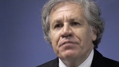 Venezuela necesita gobierno legítimo: secretario general OEA