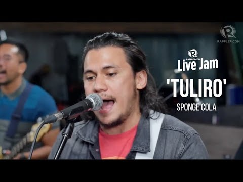 tuliro spongecola
