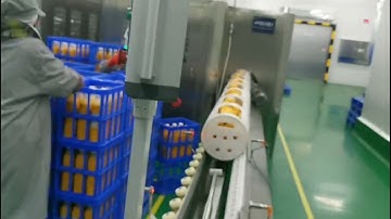 HPP(high pressure processing)/KFHPP