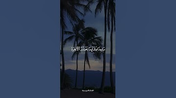 تلاوة خاشعة للقارئ الحسن برعية من سورة الزمر