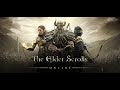 ESO - Blackwoods Forest (1 Hour Ambient Music in Blackwood)