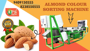 Almond Sorting Machine APS Industries